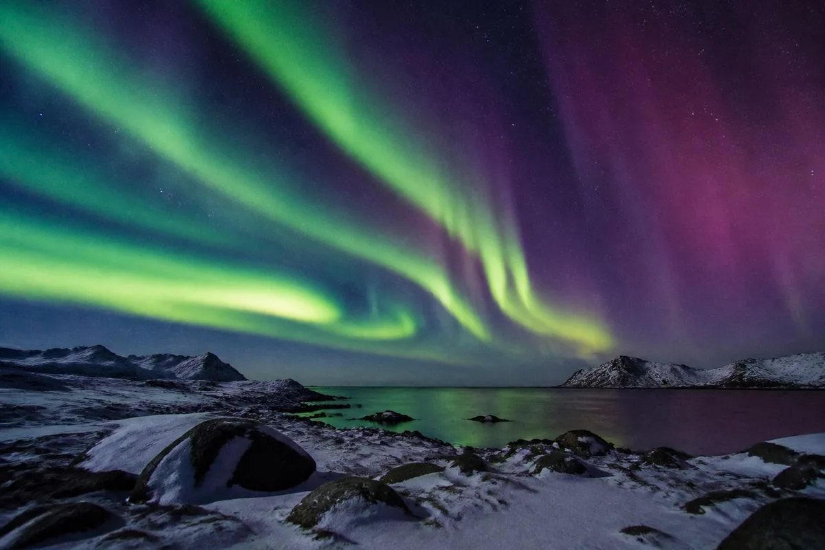 Vibrant green and purple auroras lighting a snowy Arctic sky