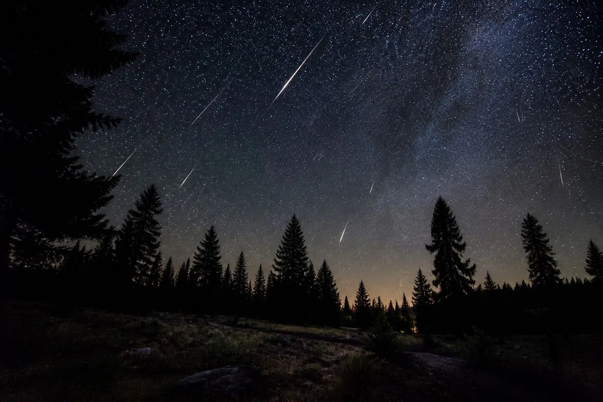 A night sky illuminated by streaking meteors over a forest.