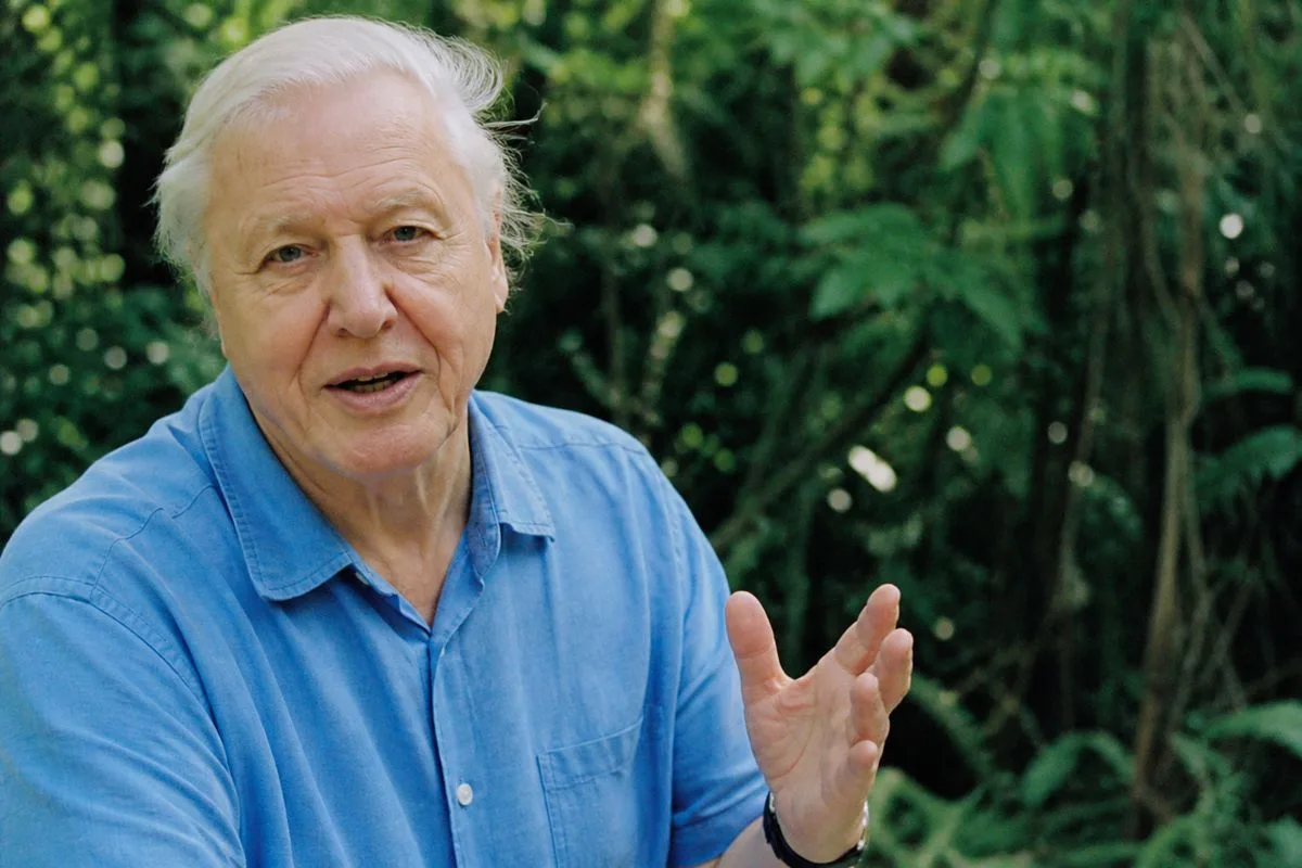 David Attenborough speaking outdoors with lush greenery background