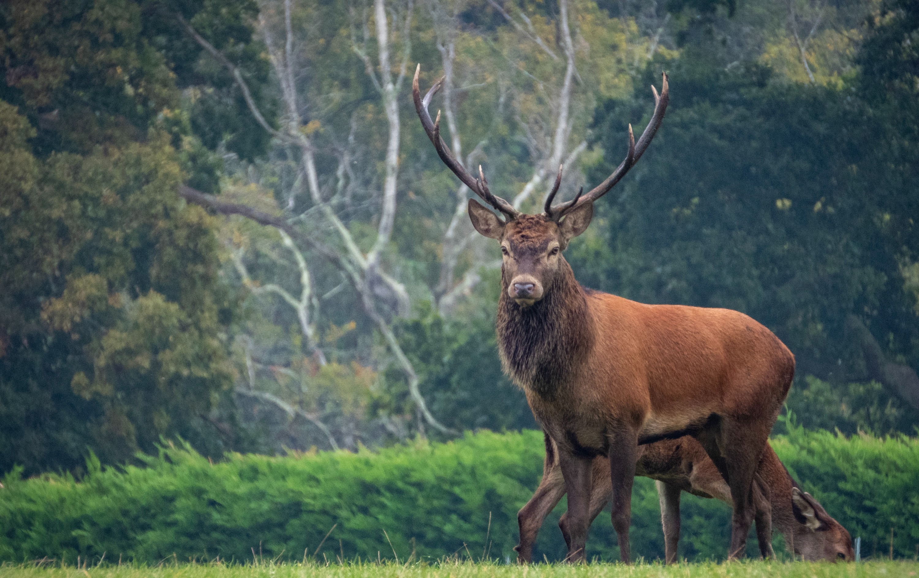 Outdoor Stag Do London