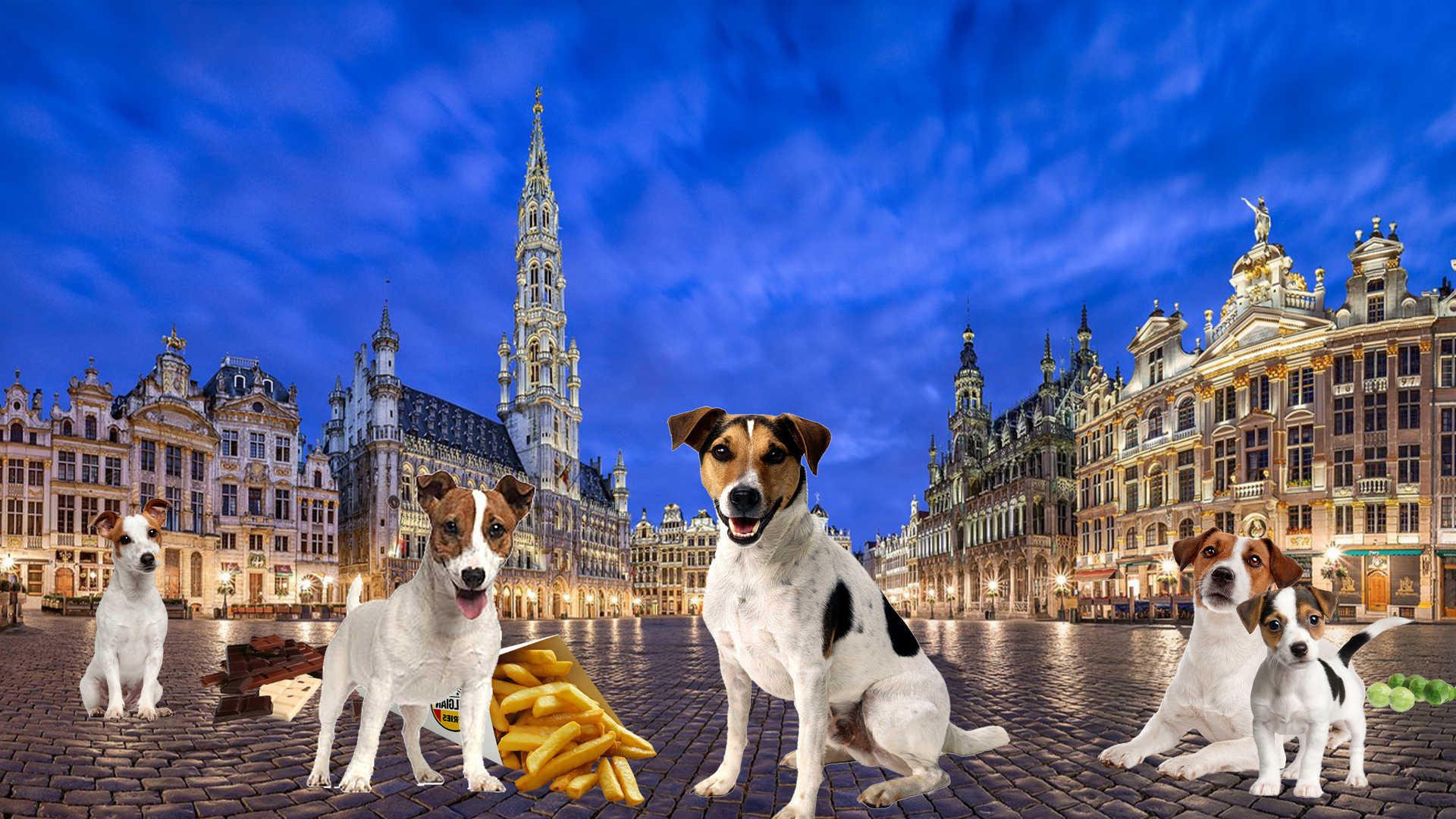 Land Barks Quiz