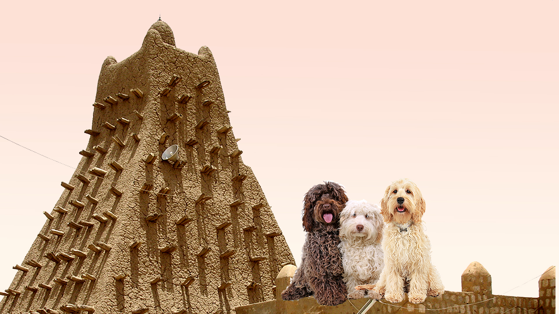 Land Barks Quiz