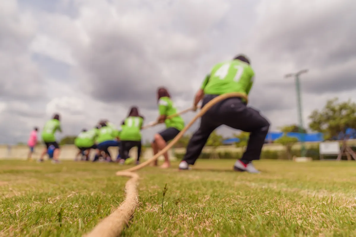 Adults Sports Day
