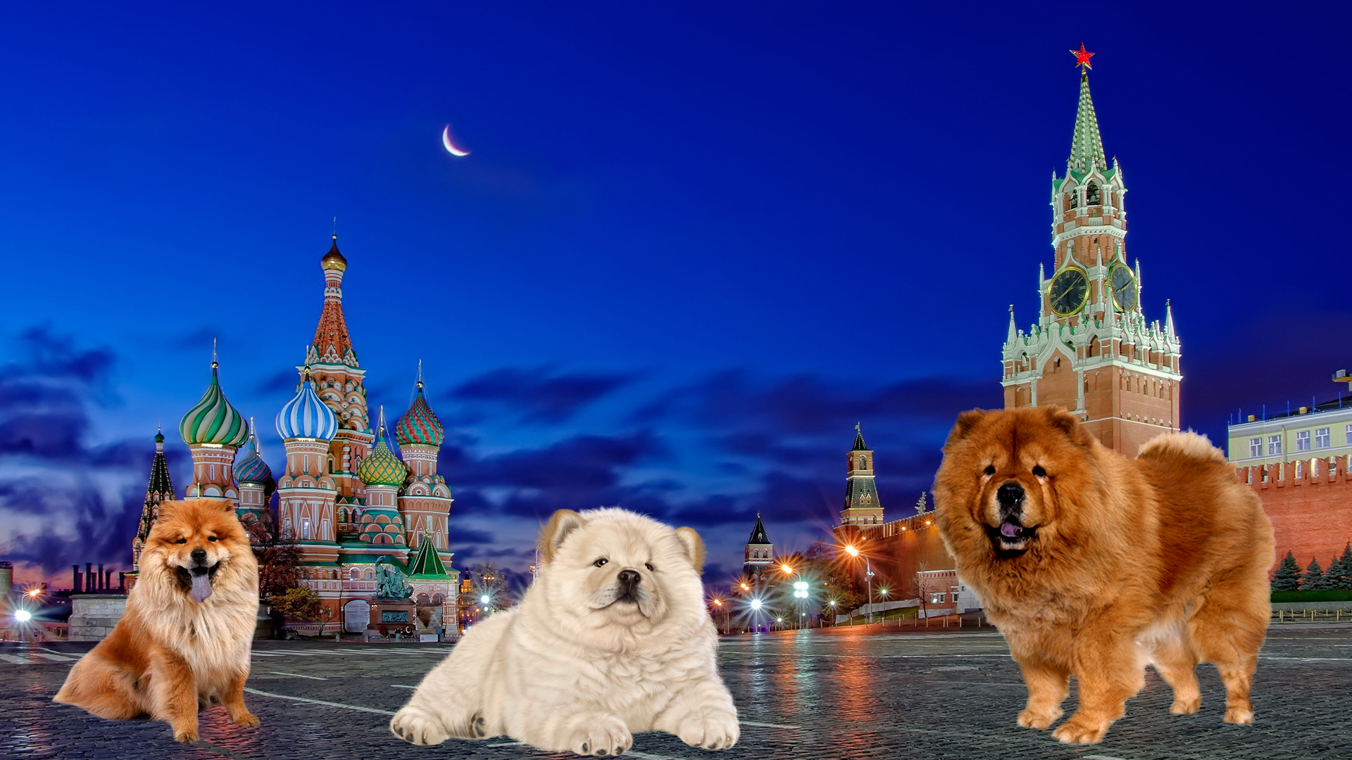Land Barks Quiz