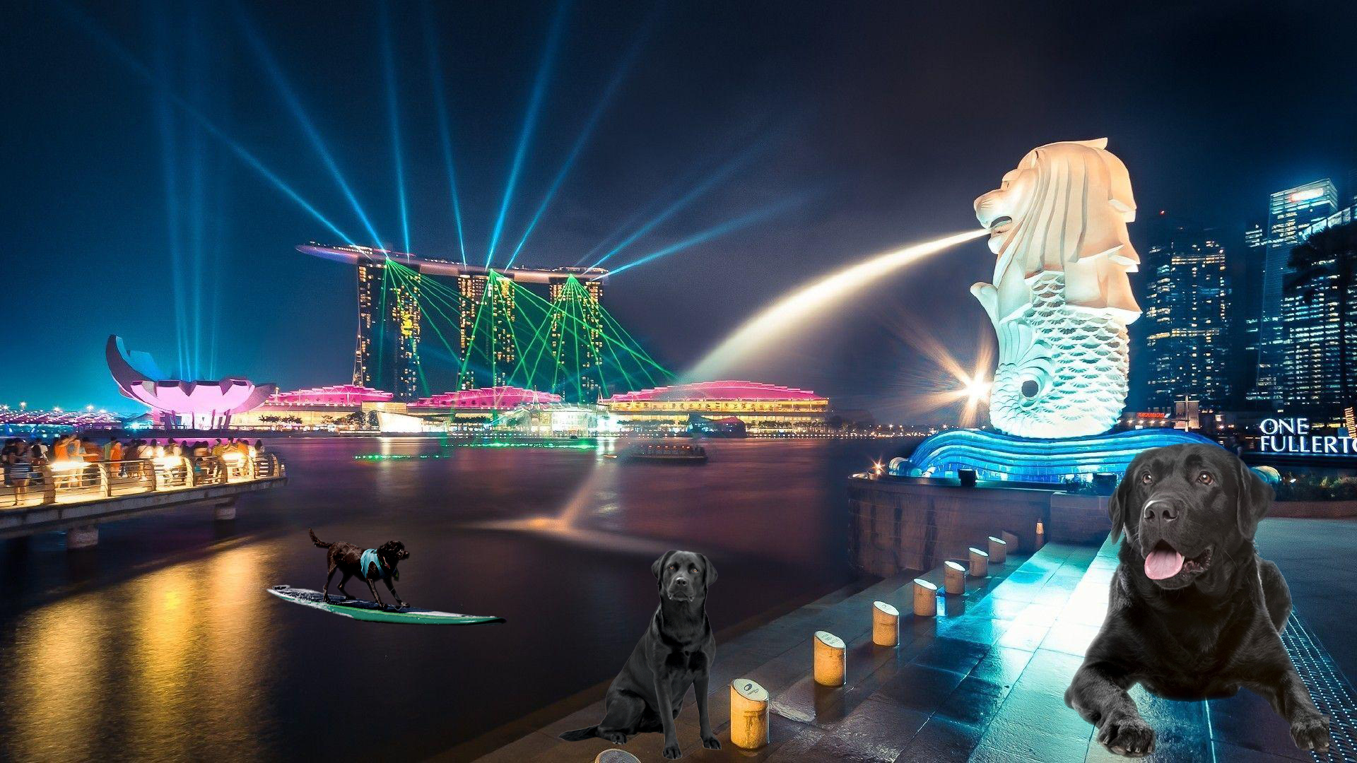 Land Barks Quiz