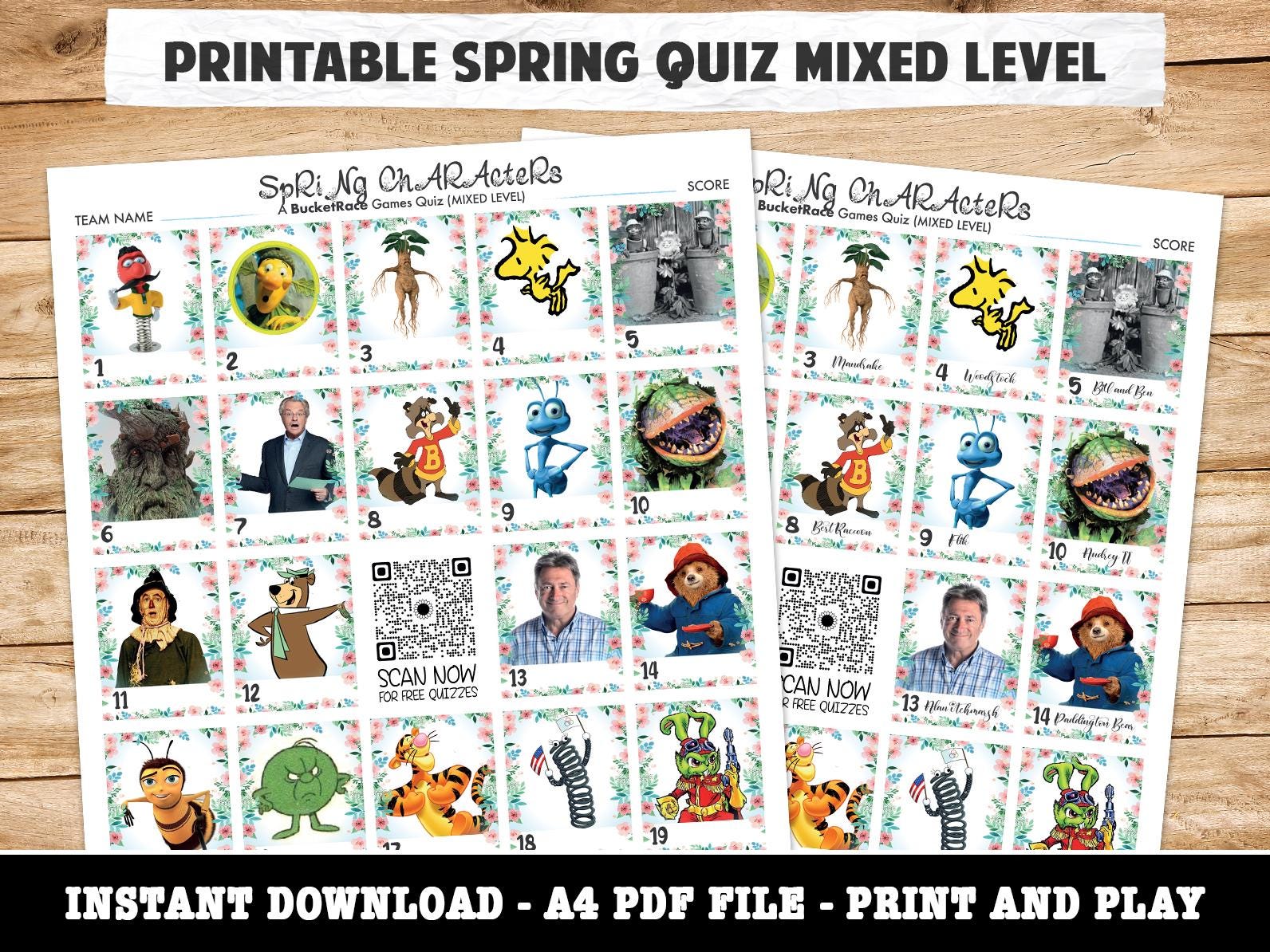 Printable Spring Character Picture Quiz Mixed Level